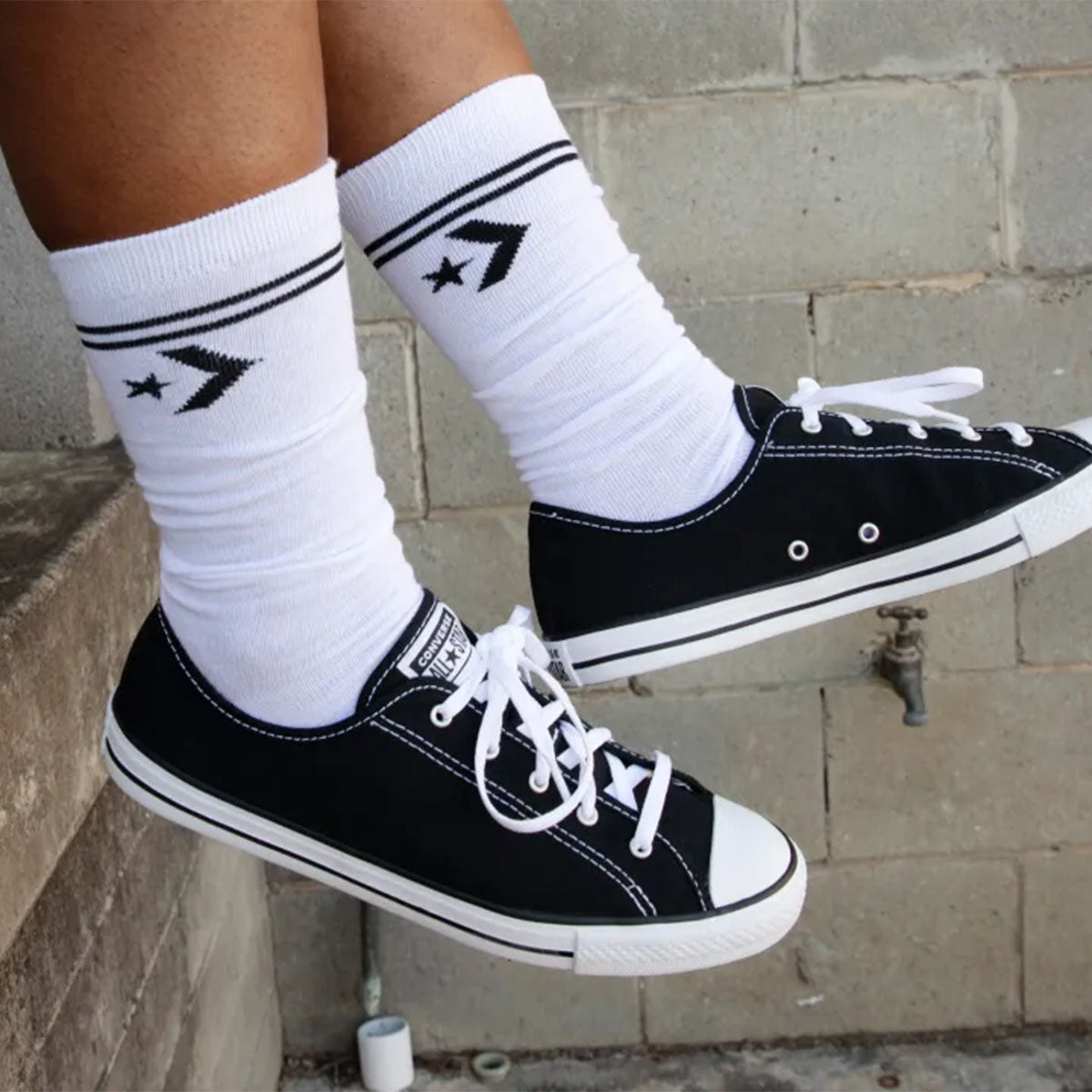 Dainty 2.0 Canvas Low