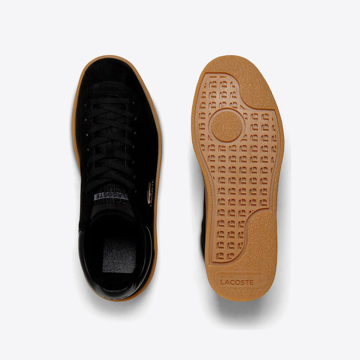 LACOSTE Baseshot PRM 224 Black/Gum - Image 4