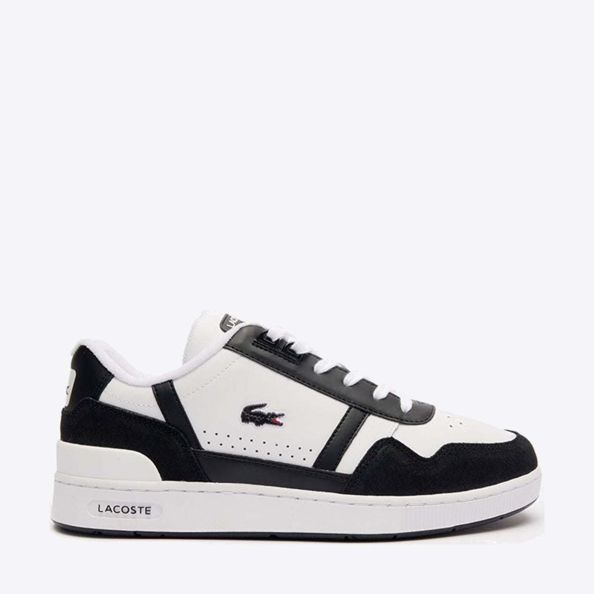 Buy LACOSTE T Clip 124 White Black Online Pat Menzies