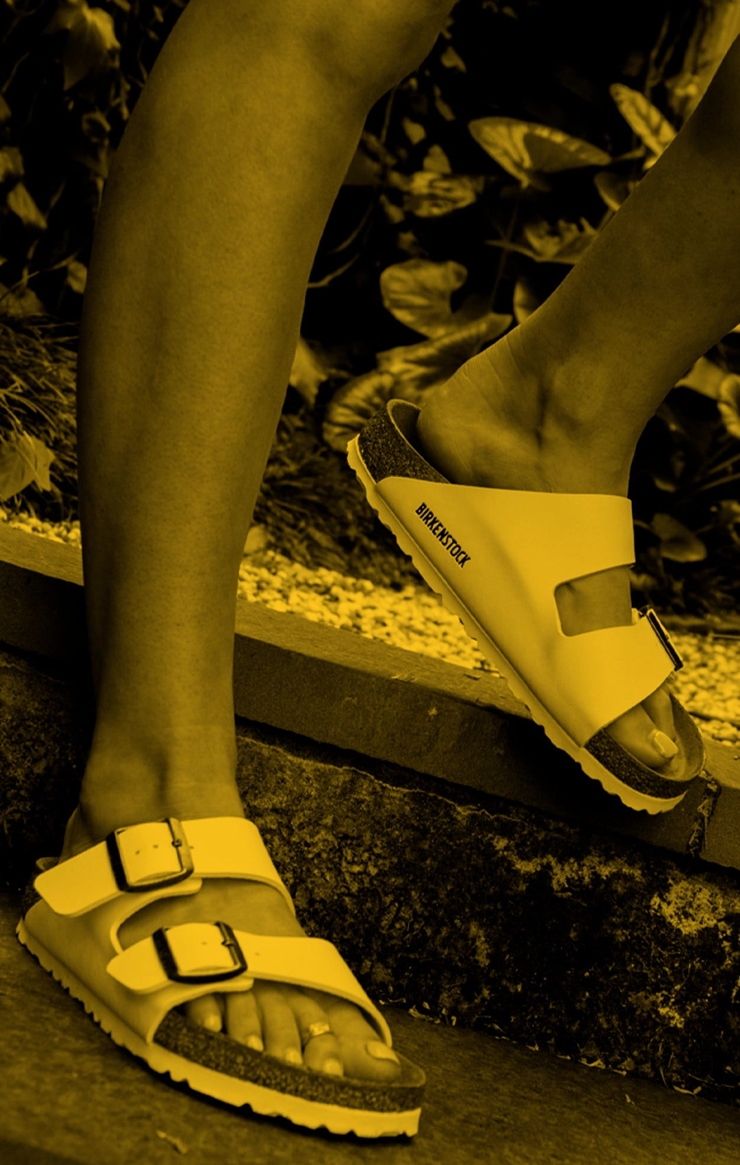 XMAS DELIVERY CUTOFFS