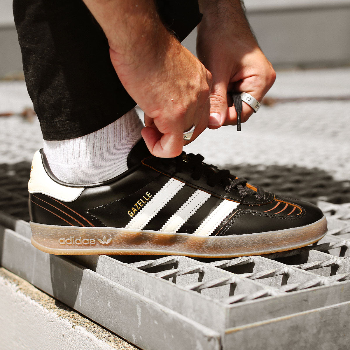 Gazelle Indoor